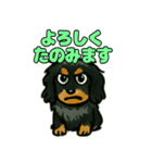 ミニチュアダックスの日常スタンプ♪（個別スタンプ：13）