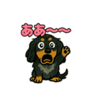 ミニチュアダックスの日常スタンプ♪（個別スタンプ：20）
