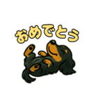 ミニチュアダックスの日常スタンプ♪（個別スタンプ：22）