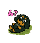 ミニチュアダックスの日常スタンプ♪（個別スタンプ：23）