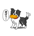 ボーダーコリー (ブラック＆ホワイト)（個別スタンプ：15）