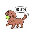 ミニチュアダックス(ロング＋レッド)（個別スタンプ：1）