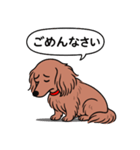 ミニチュアダックス(ロング＋レッド)（個別スタンプ：2）