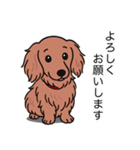 ミニチュアダックス(ロング＋レッド)（個別スタンプ：3）
