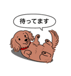 ミニチュアダックス(ロング＋レッド)（個別スタンプ：10）
