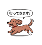 ミニチュアダックス(ロング＋レッド)（個別スタンプ：13）