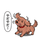 ミニチュアダックス(ロング＋レッド)（個別スタンプ：23）