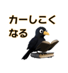 カラスくんの『カー』るい日常（個別スタンプ：11）