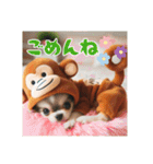 オコジョすたんぷ♡うー吉・日常会話（個別スタンプ：16）
