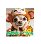 オコジョすたんぷ♡うー吉・日常会話（個別スタンプ：28）