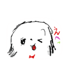 白くて小さな犬なのです（個別スタンプ：11）