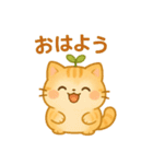 茶トラのぴこまる 日常の挨拶（個別スタンプ：1）