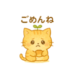 茶トラのぴこまる 日常の挨拶（個別スタンプ：5）