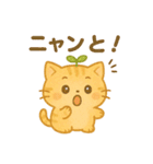茶トラのぴこまる 日常の挨拶（個別スタンプ：7）