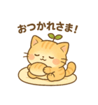 茶トラのぴこまる 日常の挨拶（個別スタンプ：8）