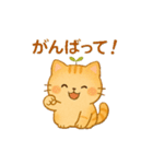 茶トラのぴこまる 日常の挨拶（個別スタンプ：10）