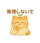 茶トラのぴこまる 日常の挨拶（個別スタンプ：11）