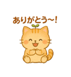 茶トラのぴこまる 日常の挨拶（個別スタンプ：12）