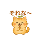 茶トラのぴこまる 日常の挨拶（個別スタンプ：17）