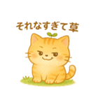 茶トラのぴこまる 日常の挨拶（個別スタンプ：18）