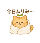 茶トラのぴこまる 日常の挨拶（個別スタンプ：21）