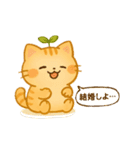 茶トラのぴこまる 日常の挨拶（個別スタンプ：22）