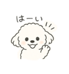 いつでも使える もふもふプードルくん<WH>（個別スタンプ：2）