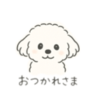 いつでも使える もふもふプードルくん<WH>（個別スタンプ：9）