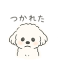 いつでも使える もふもふプードルくん<WH>（個別スタンプ：10）