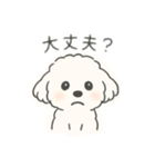 いつでも使える もふもふプードルくん<WH>（個別スタンプ：11）
