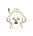いつでも使える もふもふプードルくん<WH>（個別スタンプ：13）