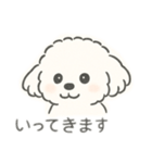 いつでも使える もふもふプードルくん<WH>（個別スタンプ：15）