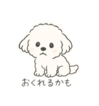いつでも使える もふもふプードルくん<WH>（個別スタンプ：18）