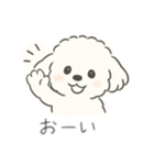 いつでも使える もふもふプードルくん<WH>（個別スタンプ：19）