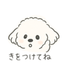 いつでも使える もふもふプードルくん<WH>（個別スタンプ：20）
