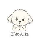 いつでも使える もふもふプードルくん<WH>（個別スタンプ：21）