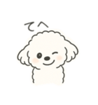 いつでも使える もふもふプードルくん<WH>（個別スタンプ：22）