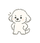 いつでも使える もふもふプードルくん<WH>（個別スタンプ：23）