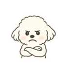 いつでも使える もふもふプードルくん<WH>（個別スタンプ：24）