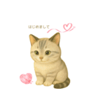 穏やかな子猫の日々（個別スタンプ：1）