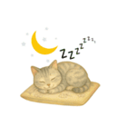穏やかな子猫の日々（個別スタンプ：3）