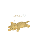 穏やかな子猫の日々（個別スタンプ：14）