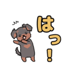 かわいいテリアちゃん（個別スタンプ：5）