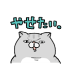 やせたい猫（個別スタンプ：1）