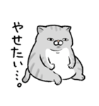 やせたい猫（個別スタンプ：13）