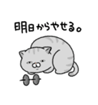 やせたい猫（個別スタンプ：14）