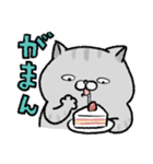 やせたい猫（個別スタンプ：16）