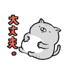 やせたい猫（個別スタンプ：17）