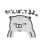 やせたい猫（個別スタンプ：22）