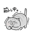 やせたい猫（個別スタンプ：25）